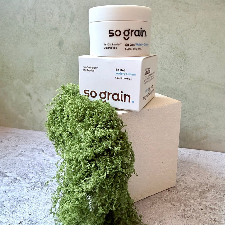 A jar and box of so grain So Oat watery cream, with a green mossy plant in the foreground against a textured light green wall.