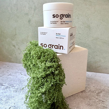 A jar and box of so grain So Oat watery cream, with a green mossy plant in the foreground against a textured light green wall.